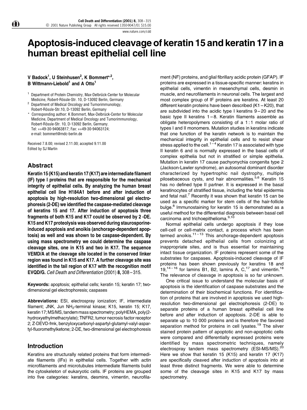 Apoptosis-Induced Cleavage of Keratin 15 and Keratin 17 in a Human Breast Epithelial Cell Line