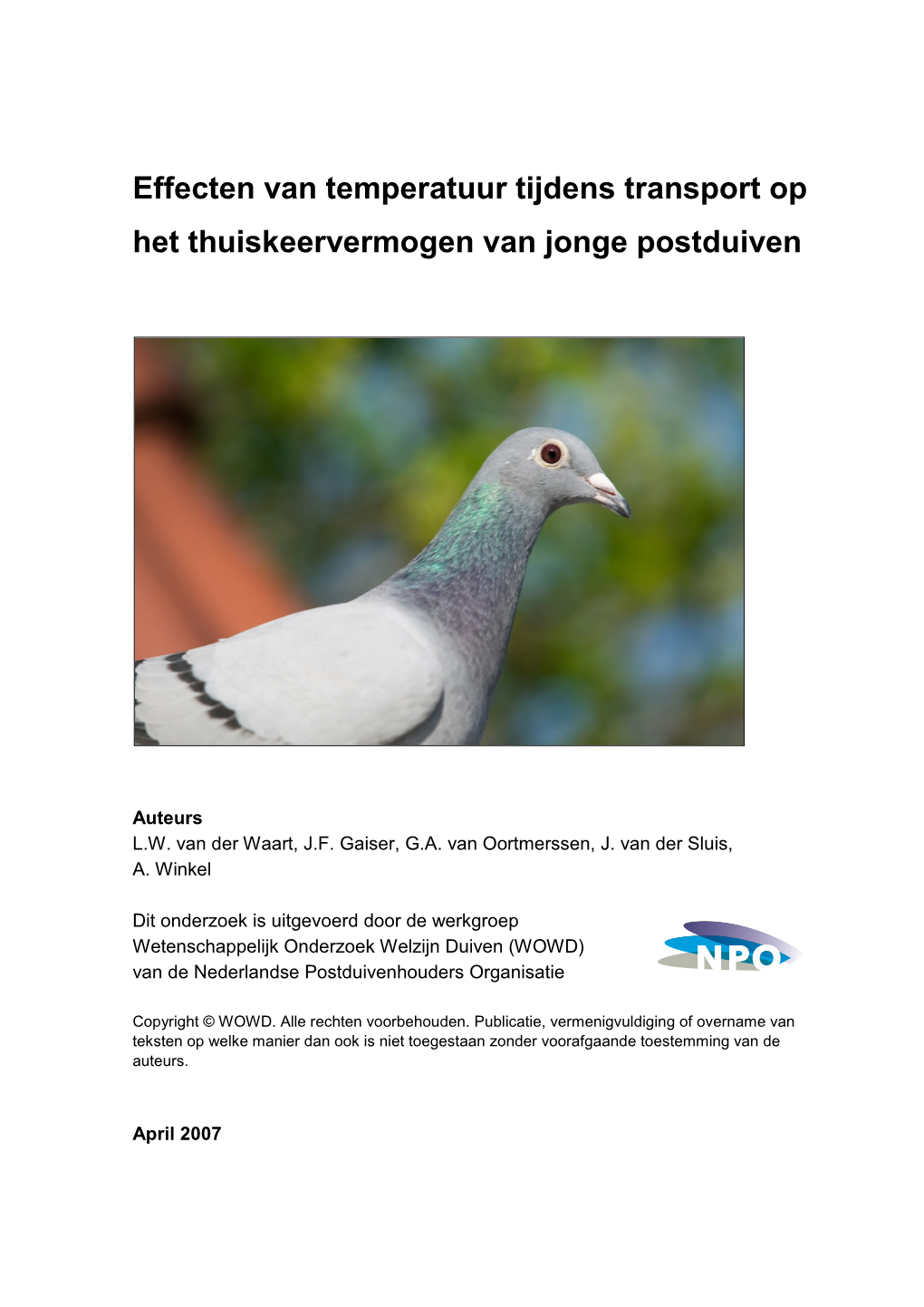 Effecten Van Temperatuur Tijdens Transport Op Het Thuiskeervermogen Van Jonge Postduiven