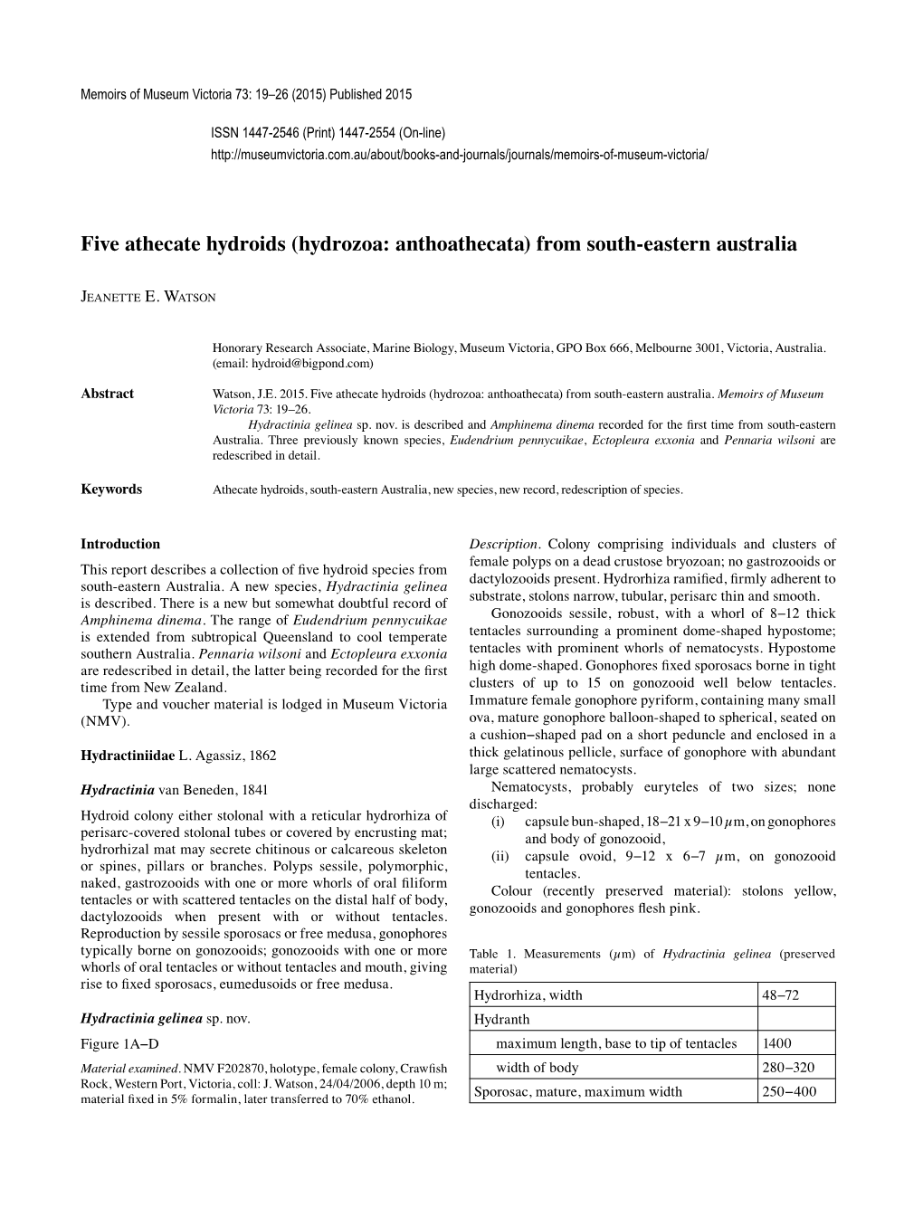 Five Athecate Hydroids (Hydrozoa: Anthoathecata) from South-Eastern Australia