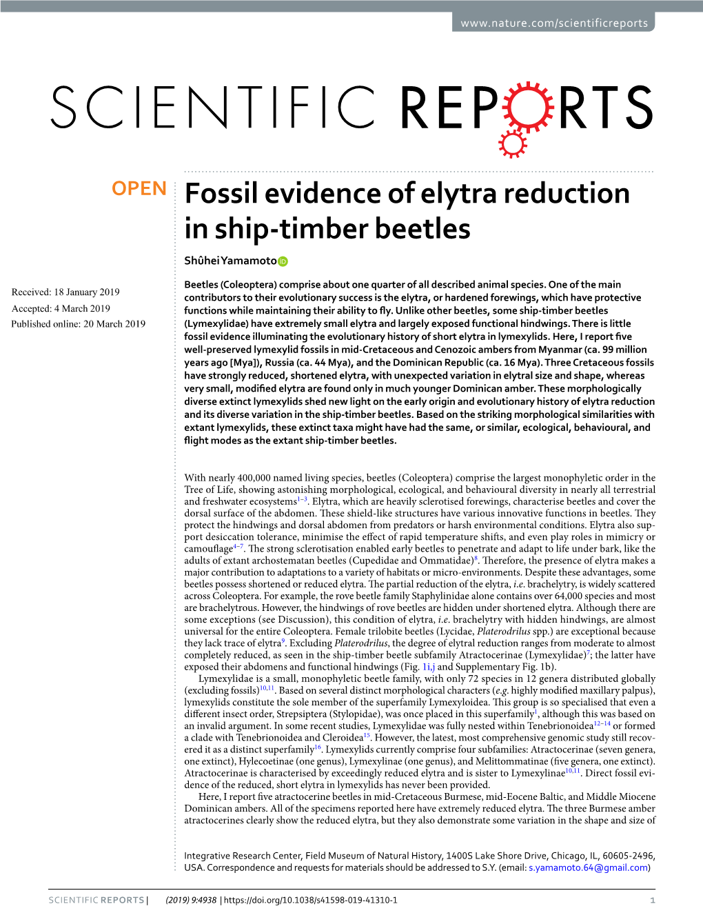 Fossil Evidence of Elytra Reduction in Ship-Timber Beetles Shûhei Yamamoto