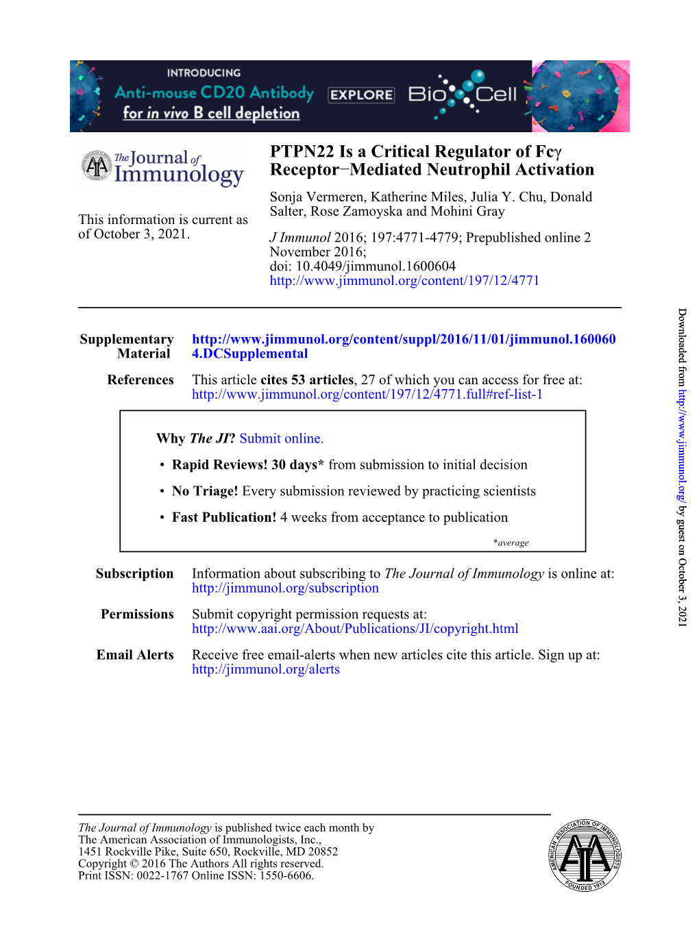 PTPN22 Is a Critical Regulator of Fcγ Receptor–Mediated Neutrophil