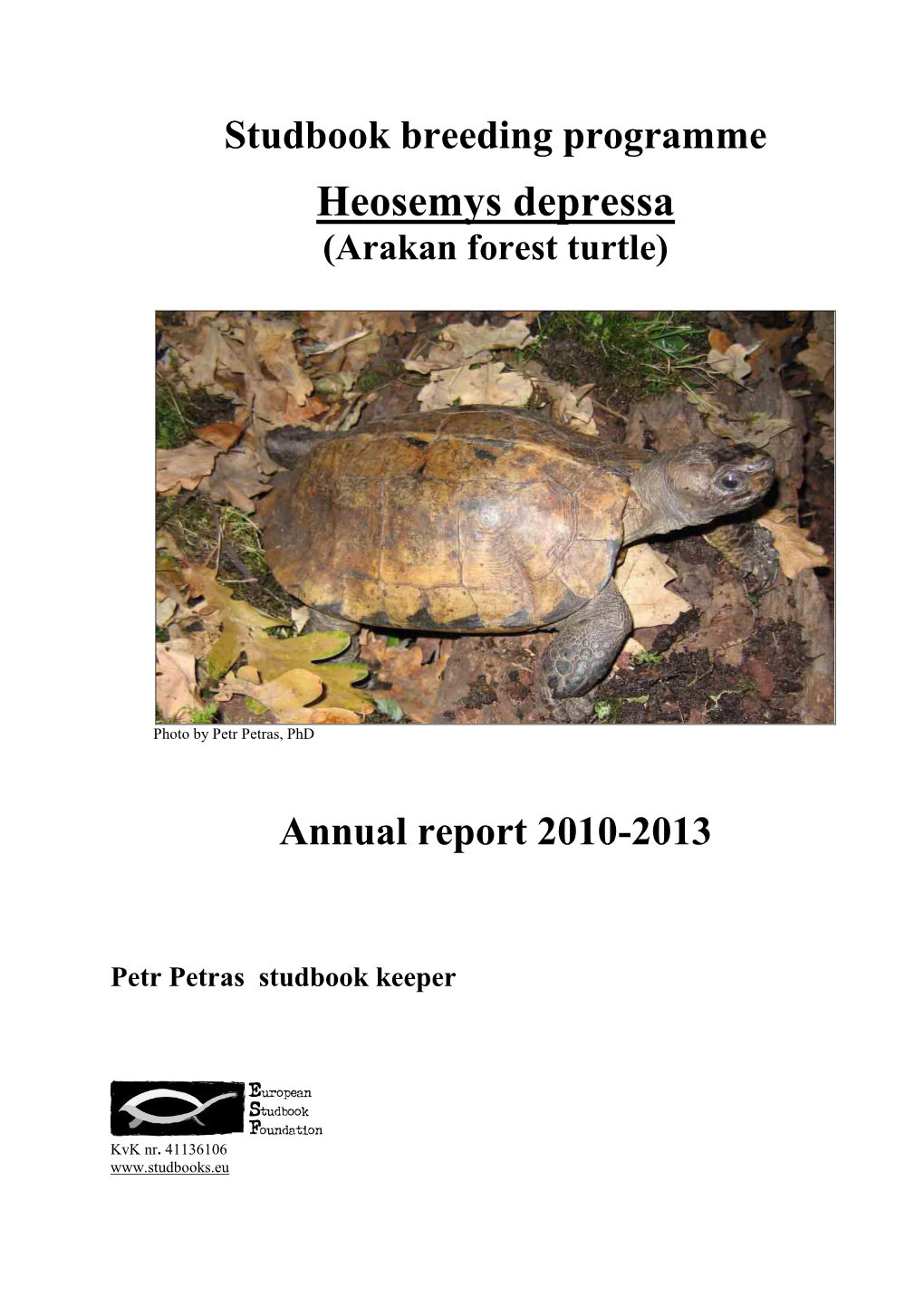 Heosemys Depressa (Arakan Forest Turtle)