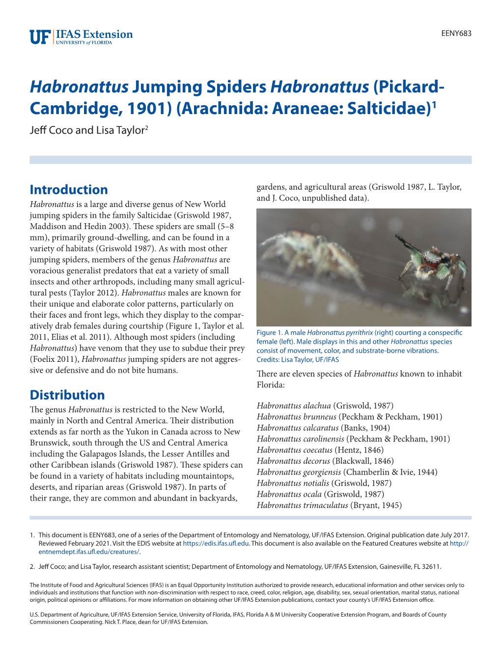 (Pickard- Cambridge, 1901) (Arachnida: Araneae: Salticidae)1 Jeff Coco and Lisa Taylor2