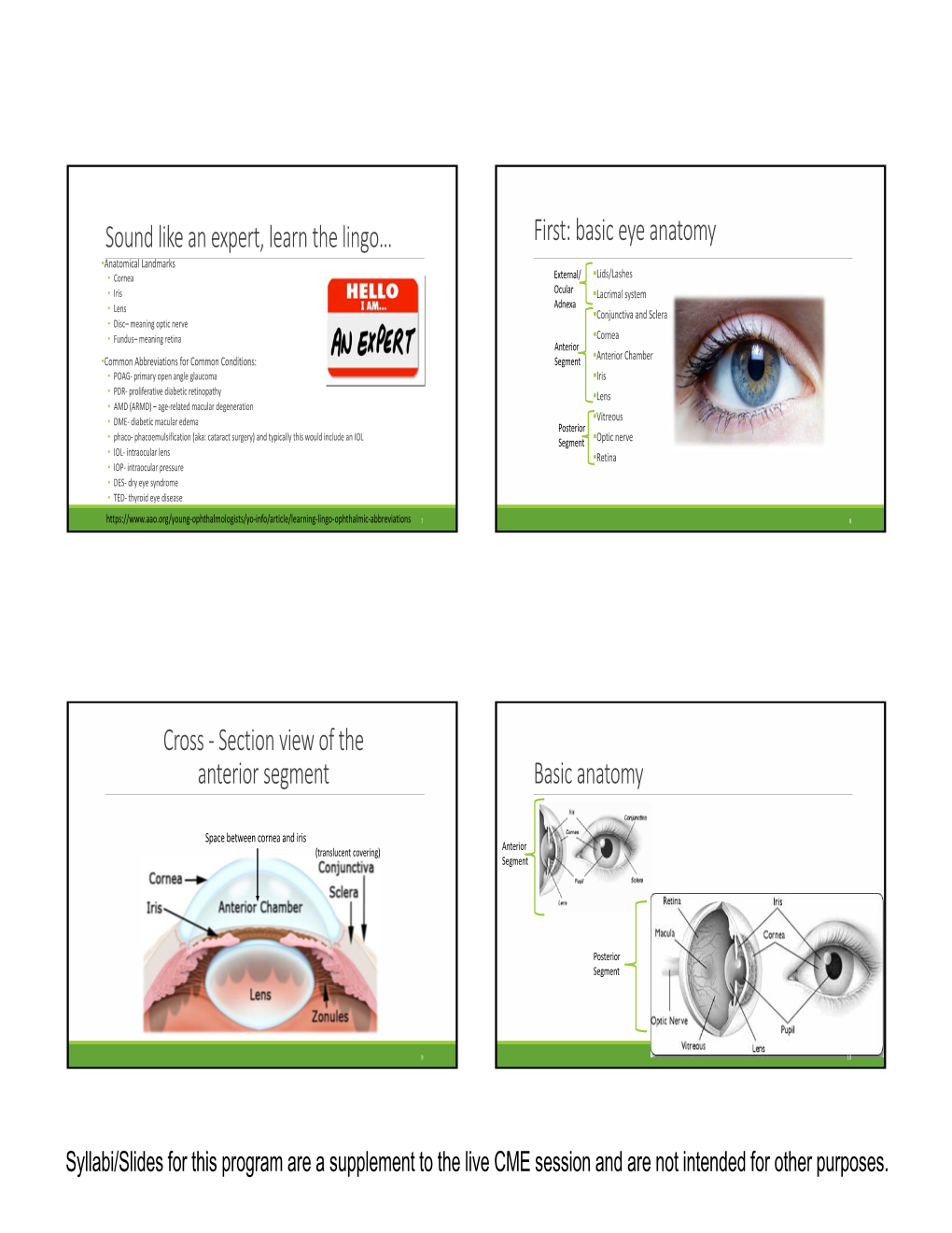 Basic Eye Anatomy Cross ‐ Section View of the Anterior