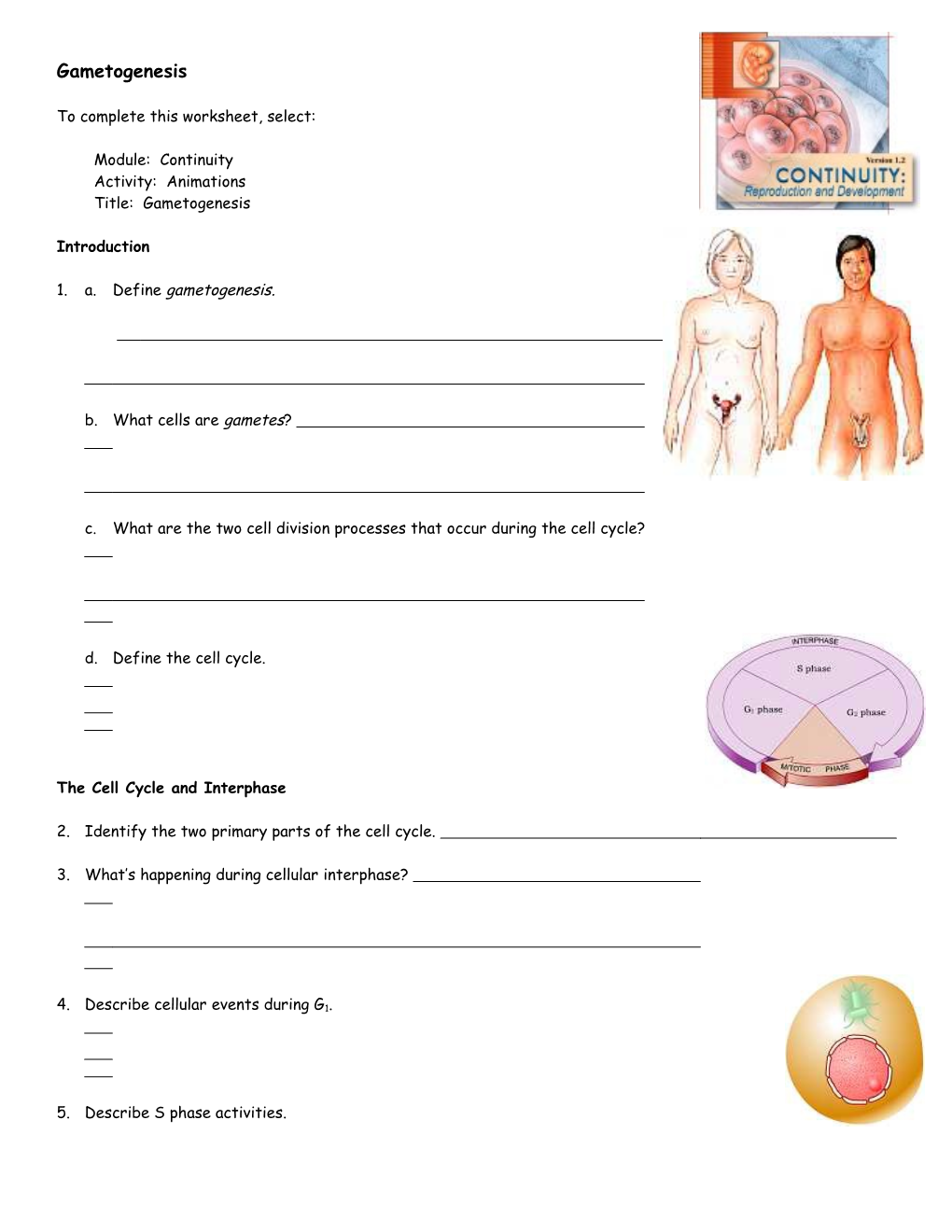 Endocrine System: Overview s2