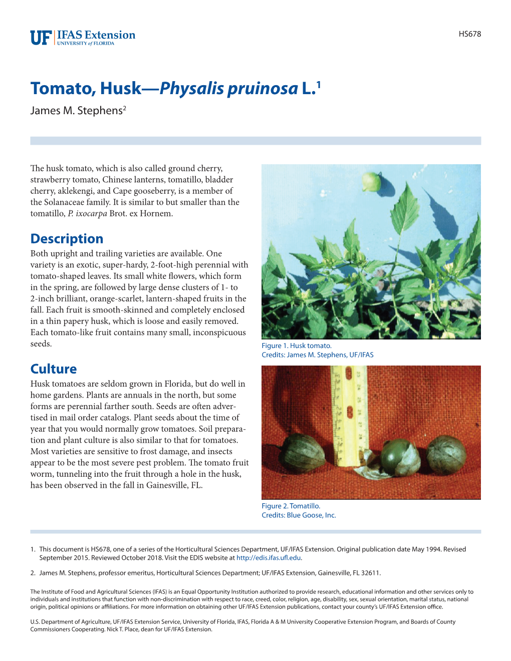 Tomato, Husk—Physalis Pruinosa L.1 James M