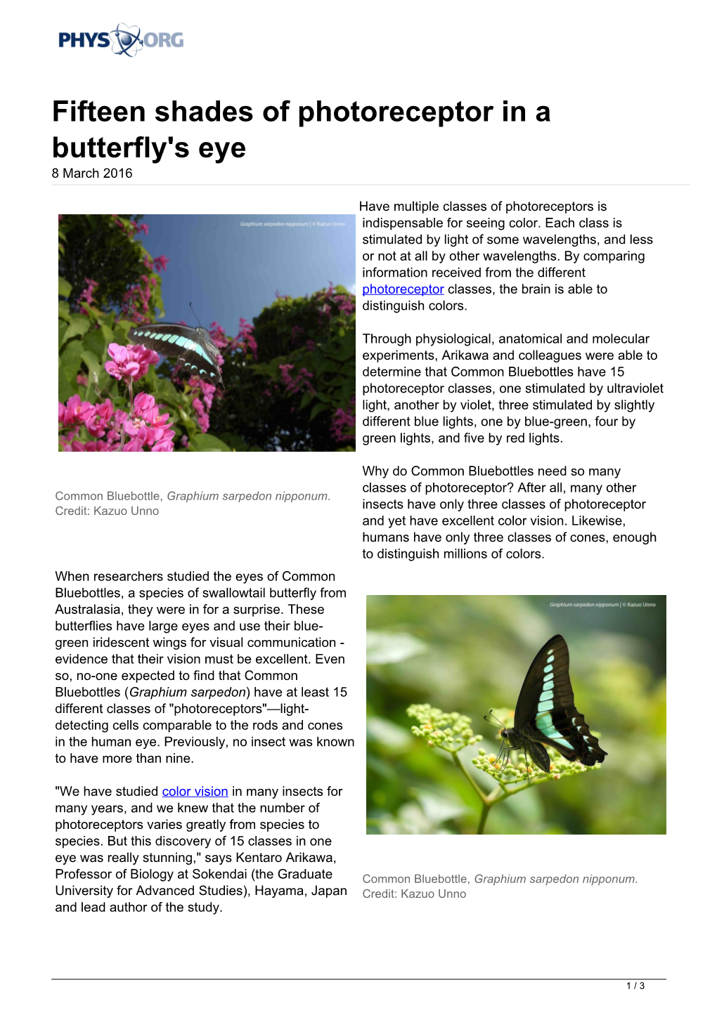 Fifteen Shades of Photoreceptor in a Butterfly's Eye 8 March 2016