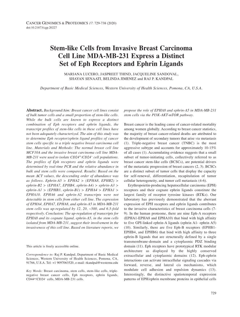 Stem-Like Cells from Invasive Breast Carcinoma Cell Line MDA-MB-231