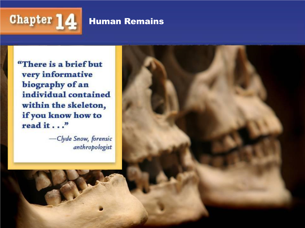 Human Remains Human Remains