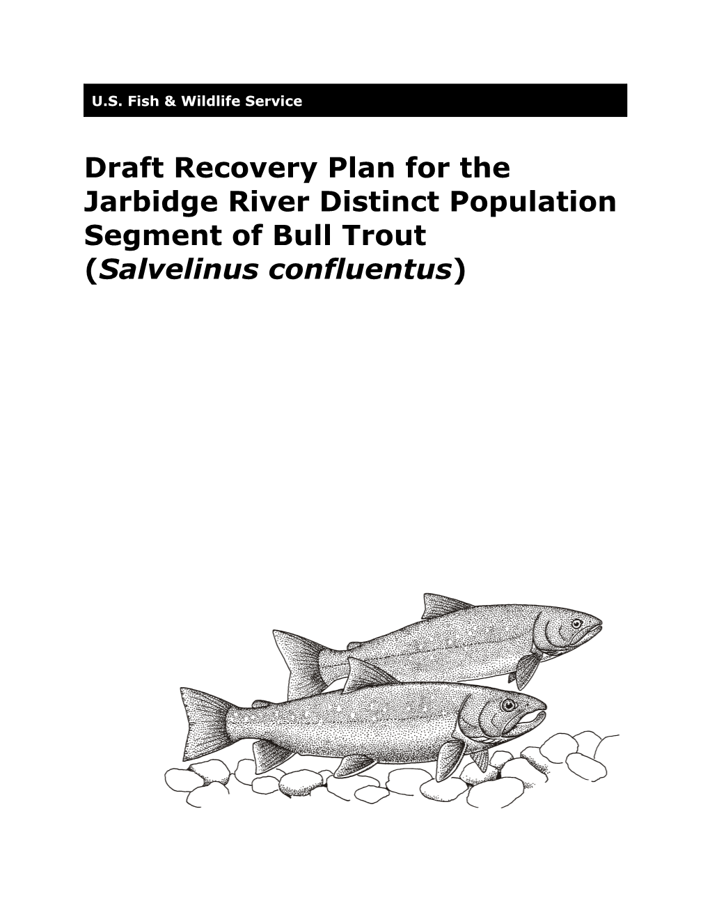 Jarbidge River Distinct Population Segment of Bull Trout (Salvelinus Confluentus) Cover Illustration by Kendal Morris, U.S