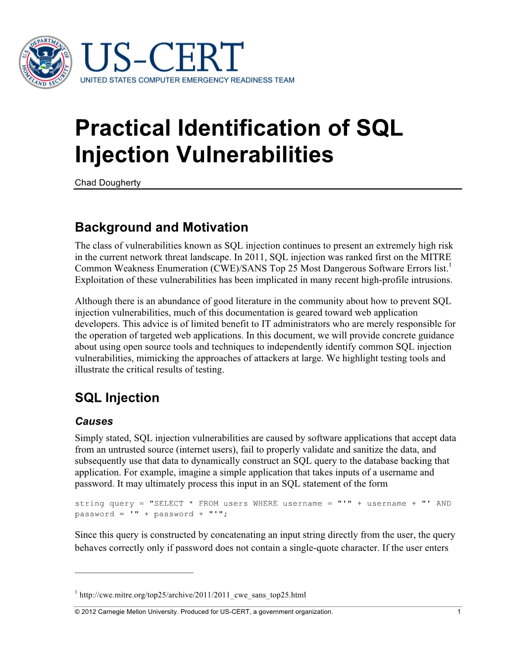 SQL Injection Vulnerabilities