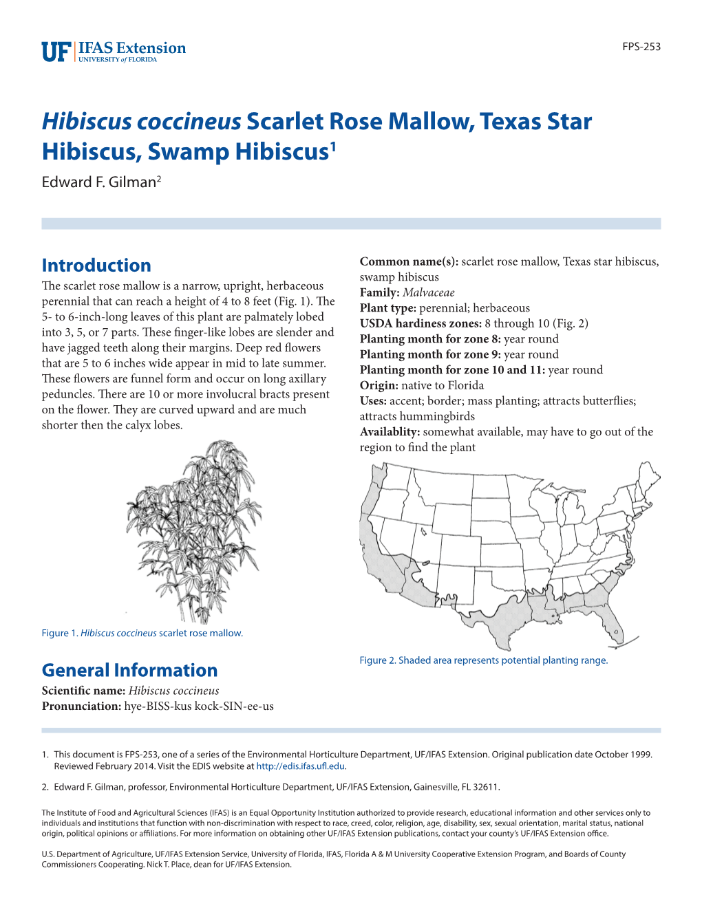 Hibiscus Coccineus Scarlet Rose Mallow, Texas Star Hibiscus, Swamp Hibiscus1 Edward F