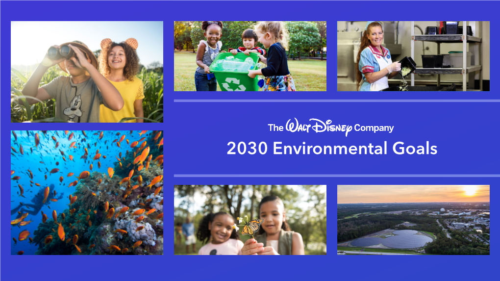 2030 Environmental Goals Table of Contents