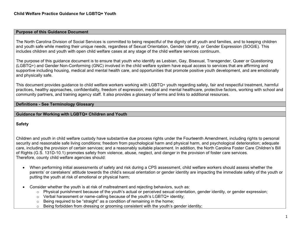 Child Welfare Practice Guidance for LGBTQ+ Youth 1 Purpose of This