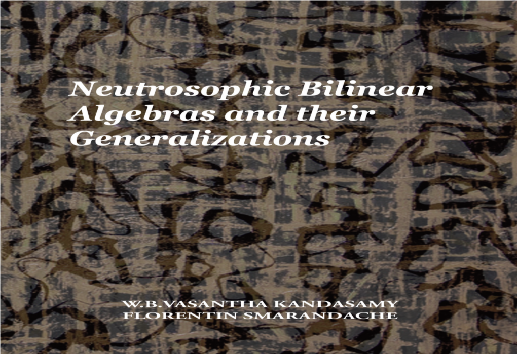 Neutrosophic Bilinear Algebras and Their Generalizations