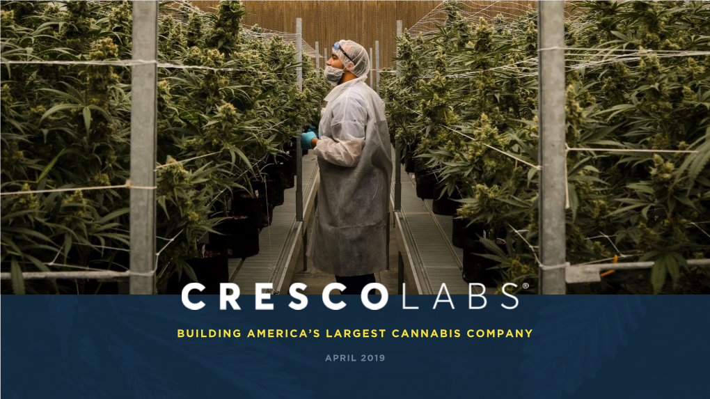 Building America's Largest Cannabis Company