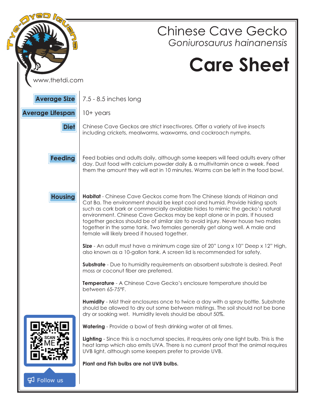 Goniurosaurus Hainanensis Care Sheet