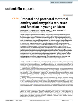 Prenatal and Postnatal Maternal Anxiety and Amygdala Structure And