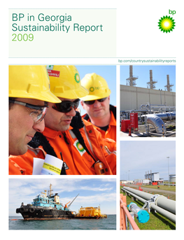 BP in Georgia Sustainability Report 2009