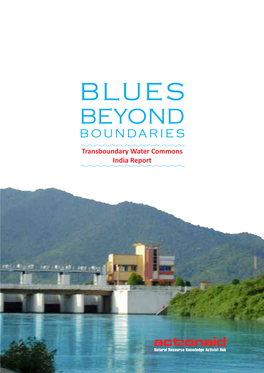 Blues Beyond Boundar