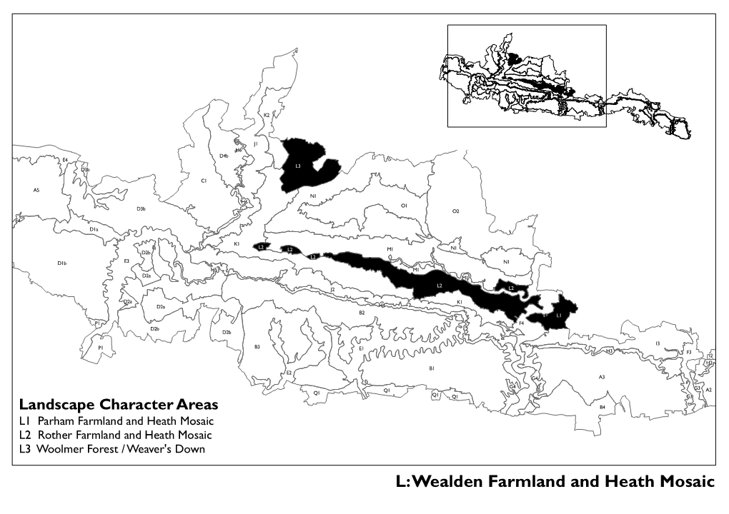 South Downs Integrated Landscape Character Assessment