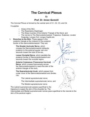 The Cervical Plexus by Prof