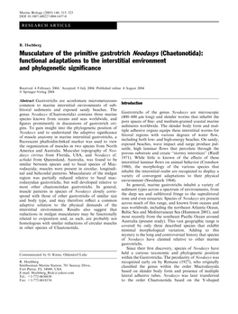 Musculature of the Primitive Gastrotrich Neodasys (Chaetonotida): Functional Adaptations to the Interstitial Environment and Phylogenetic Signiﬁcance