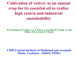 Cultivation of Vetiver As an Annual Crop for Its Essential Oil to Realize High Return and Industrial Sustainability