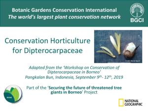 Conservation Horticulture for Dipterocarpaceae
