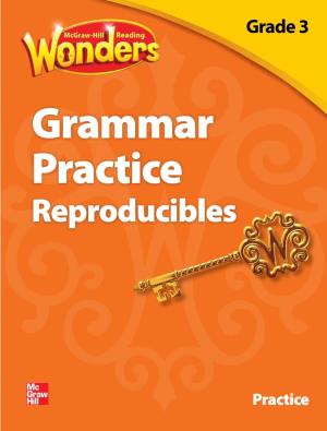 Grade 3 Grammar Practice Reproducibles