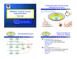 Multiclass Analysis of Gene Expression Data the Protein Process