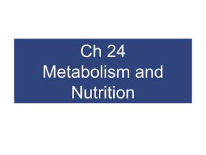 Ch 24 Metabolism and Nutrition 24-1 Metabolism Metabolism Refers to All Chemical Reactions in an Organism