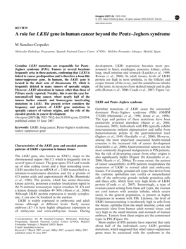 A Role for LKB1 Gene in Human Cancer Beyond the Peutz–Jeghers Syndrome
