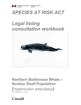 Northern Bottlenose Whale (Scotian Shelf Population)