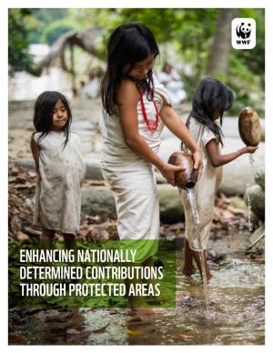 Enhancing Nationally Determined Contributions Through Protected Areas Table of Contents