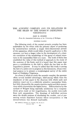 The Acoustic Complex and Its Relations in the Brain of the Opossum (Didelphys Virginian A) John H