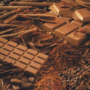 CHOCOLOGY the Swiss Chocolate Industry, Past and Present