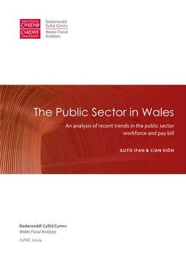The Public Sector in Wales an Analysis of Recent Trends in the Public Sector Workforce and Pay Bill