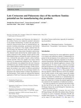 Late Cretaceous and Palaeocene Clays of the Northern Tunisia: Potential Use for Manufacturing Clay Products