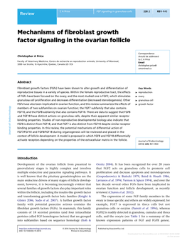 Mechanisms of Fibroblast Growth Factor Signaling in the Ovarian Follicle