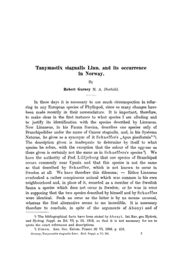 Tanymastix Stagnalis Linn. and Its Occurrence in Norway