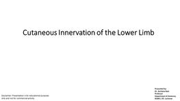 Cutaneous Innervation of the Lower Limb Cutaneous Nerves on the Front of the Thigh