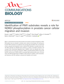 Identification of PIM1 Substrates Reveals a Role for NDRG1