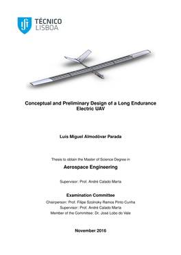 Conceptual and Preliminary Design of a Long Endurance Electric UAV