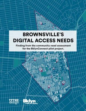 Brownsville's Digital Access Needs