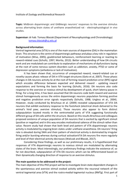 Midbrain Dopaminergic and Gabaergic Neurons' Responses To