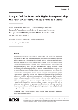 Study of Cellular Processes in Higher Eukaryotes Using the Yeast Schizosaccharomyces Pombe As a Model