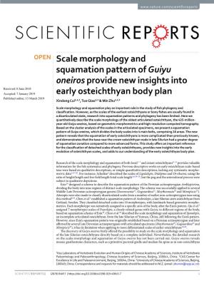 Scale Morphology and Squamation Pattern of Guiyu Oneiros Provide