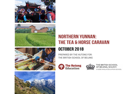 Northern Yunnan: the Tea & Horse Caravan