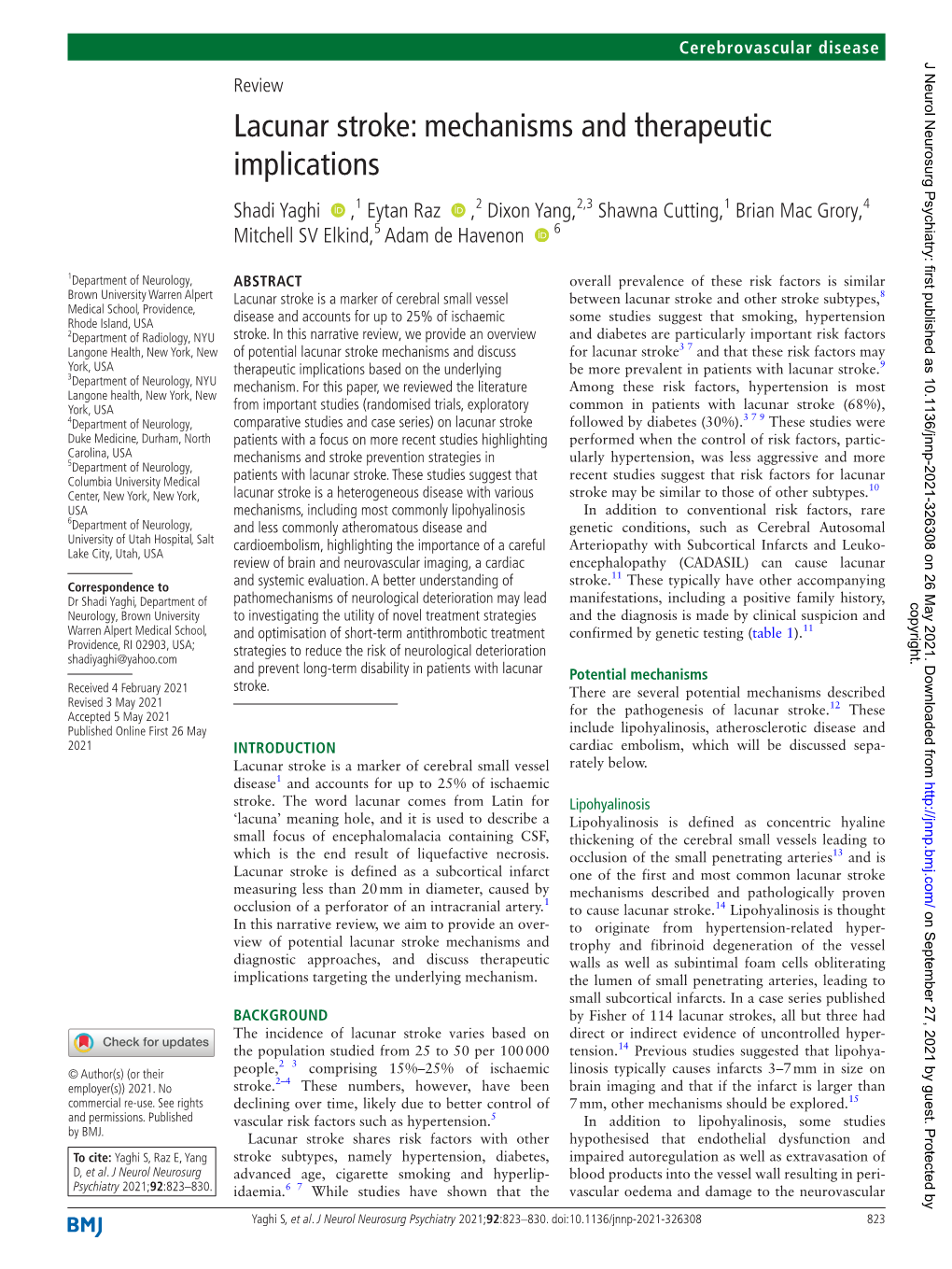 Lacunar Stroke: Mechanisms and Therapeutic Implications